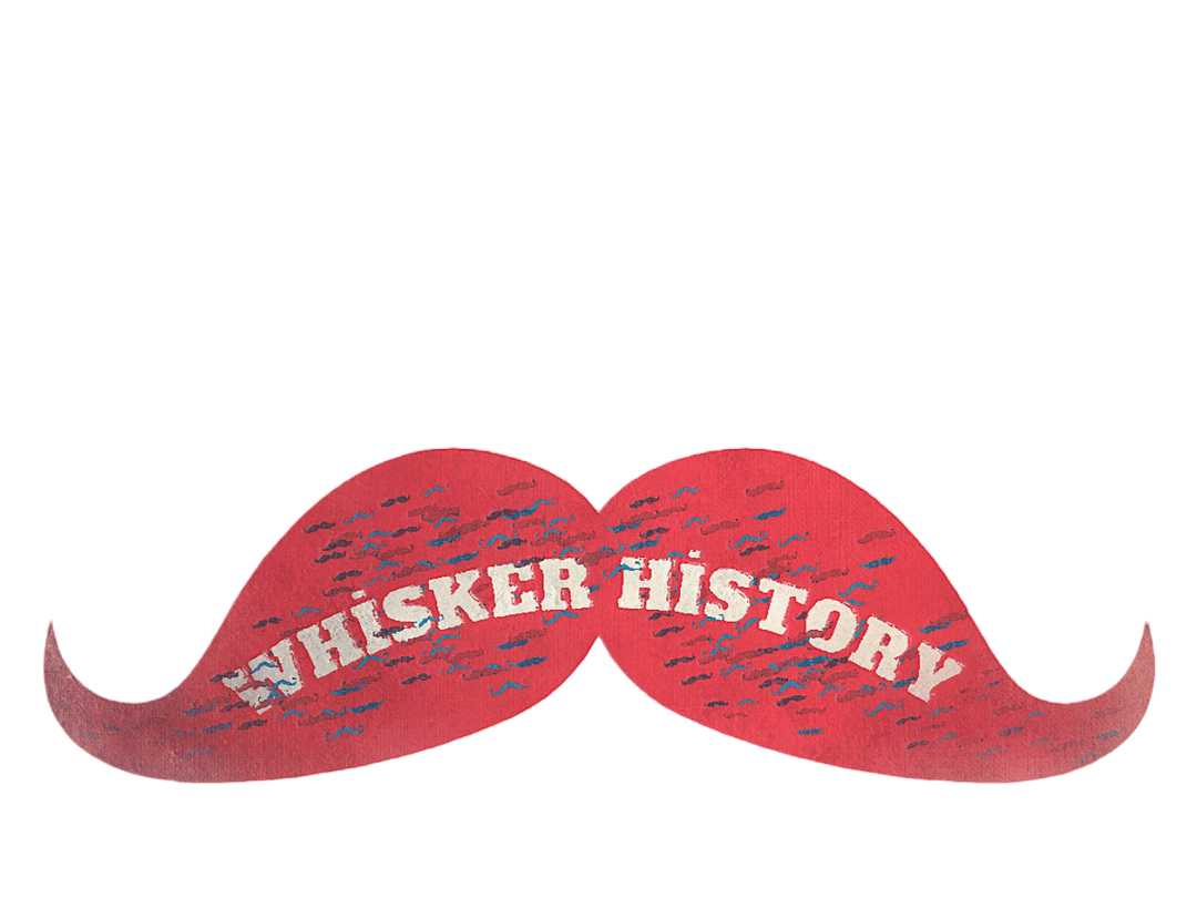 History Button